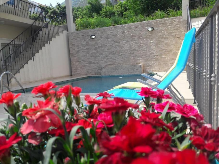 2Br Apartment With Pool Kotor Ngoại thất bức ảnh
